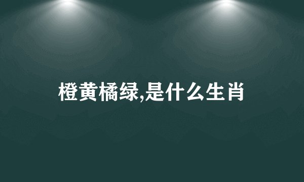 橙黄橘绿,是什么生肖