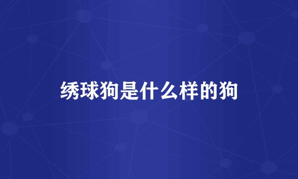 绣球狗是什么样的狗