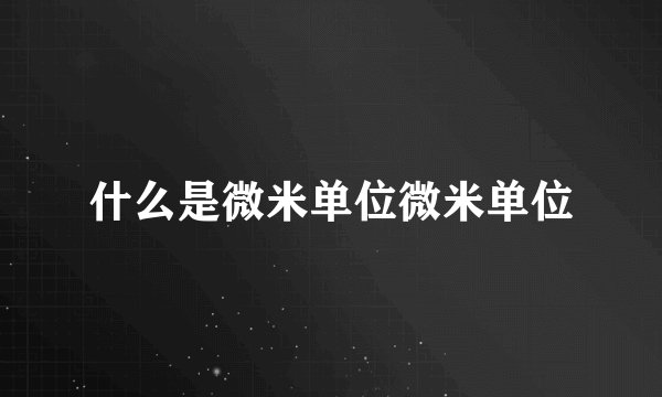 什么是微米单位微米单位