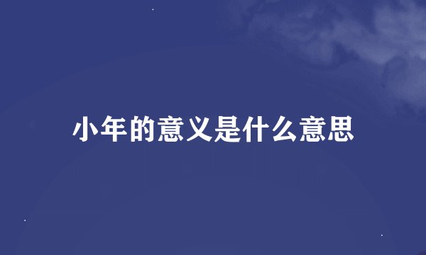 小年的意义是什么意思