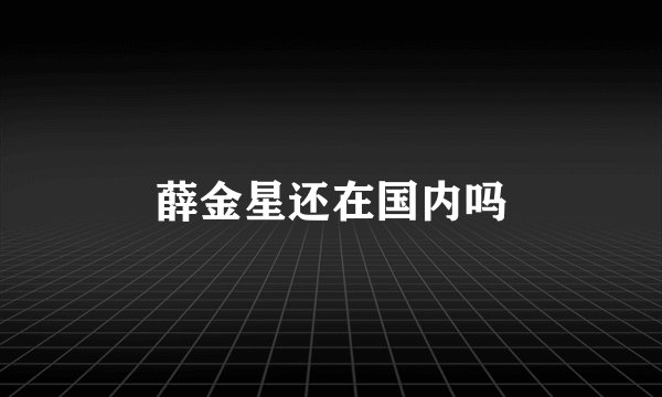 薛金星还在国内吗