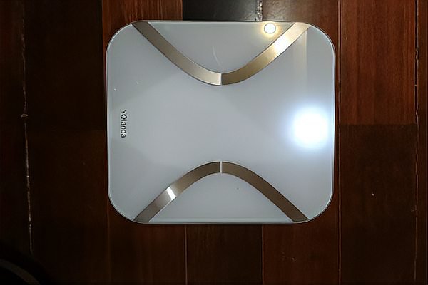 电子秤十大名牌排名