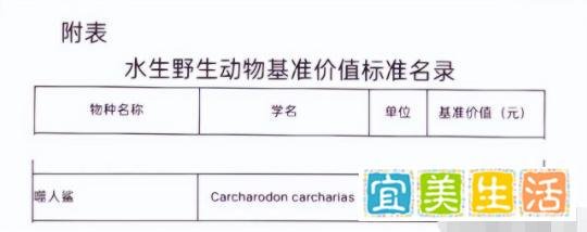 实锤:又一百万粉丝女网红涉案被封!巴子与六大门派恩怨情仇曝光