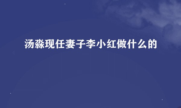 汤淼现任妻子李小红做什么的