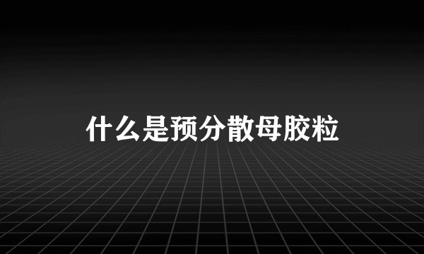 什么是预分散母胶粒