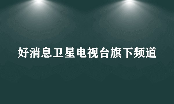 好消息卫星电视台旗下频道