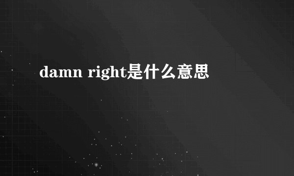 damn right是什么意思