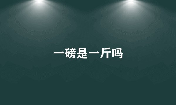 一磅是一斤吗