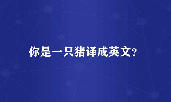 你是一只猪译成英文？