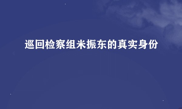 巡回检察组米振东的真实身份