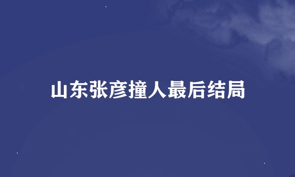 山东张彦撞人最后结局