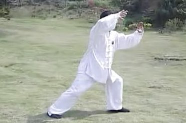 杨氏太极49氏口令