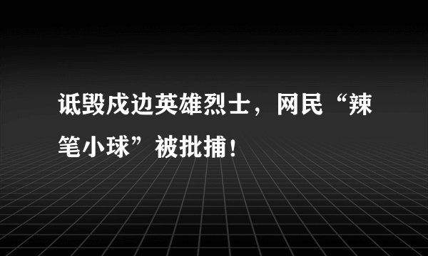 诋毁戍边英雄烈士，网民“辣笔小球”被批捕！