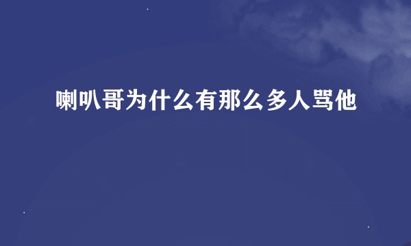 喇叭哥为什么有那么多人骂他