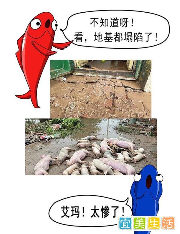 山西水灾 住房地基塌陷 1.5万人转移