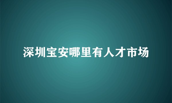 深圳宝安哪里有人才市场