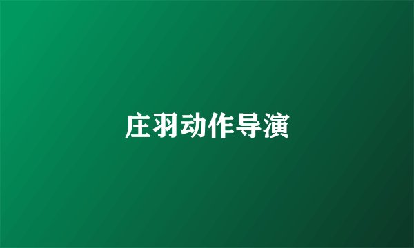 庄羽动作导演