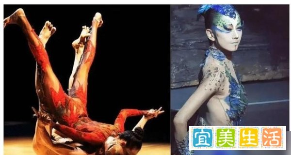 《《彩舞》之辩:杨丽萍的艺术探索与社会观念的交锋》
