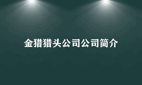 金猎猎头公司公司简介