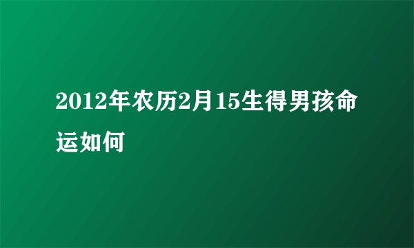2012年农历2月15生得男孩命运如何