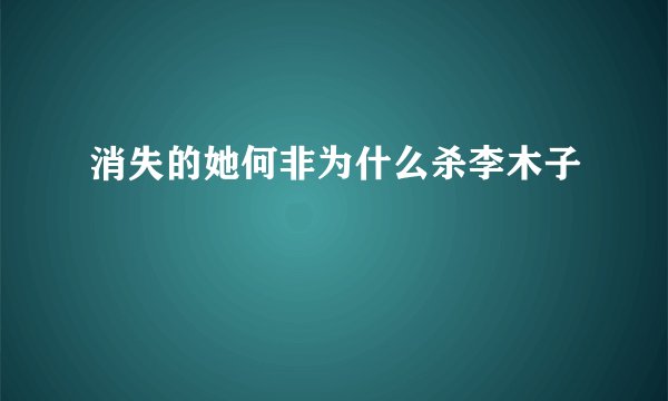 消失的她何非为什么杀李木子