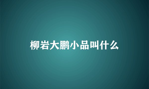柳岩大鹏小品叫什么