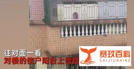 男子花50万帮儿子免试录用公务员与男子买22面镜子挂阳台反击邻居