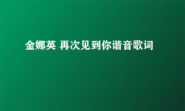 金娜英 再次见到你谐音歌词