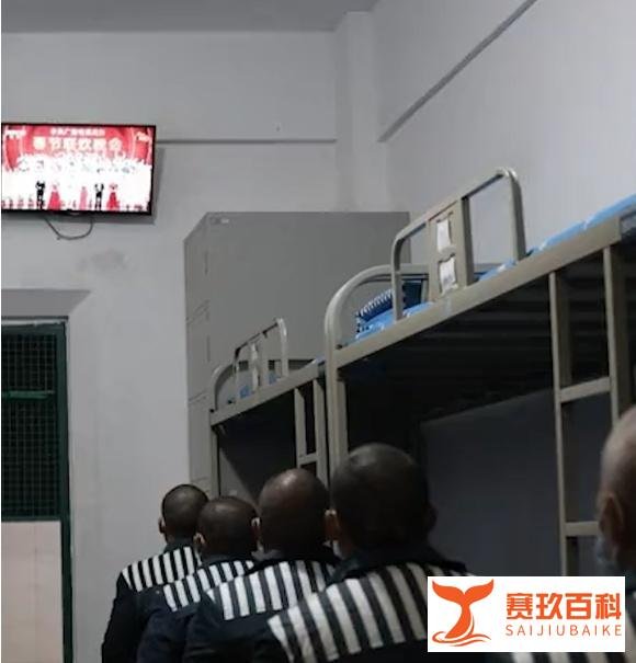 监狱潜规则与牢头狱霸现象的深入解析