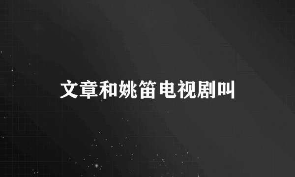 文章和姚笛电视剧叫