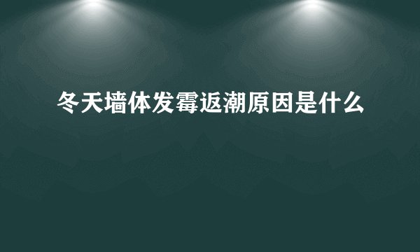 冬天墙体发霉返潮原因是什么