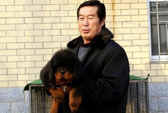 马俊仁教练现状