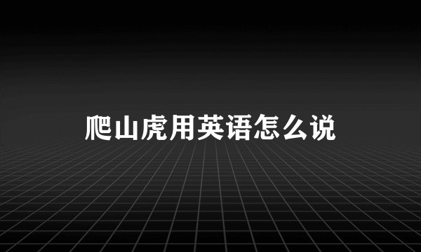 爬山虎用英语怎么说