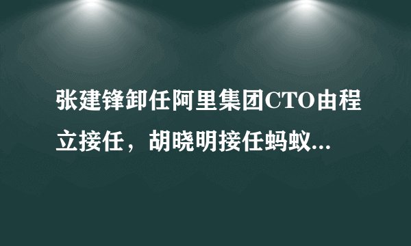 张建锋卸任阿里集团CTO由程立接任，胡晓明接任蚂蚁金服CEO向井贤栋汇报