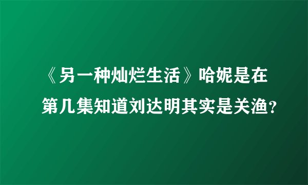 《另一种灿烂生活》哈妮是在第几集知道刘达明其实是关渔？