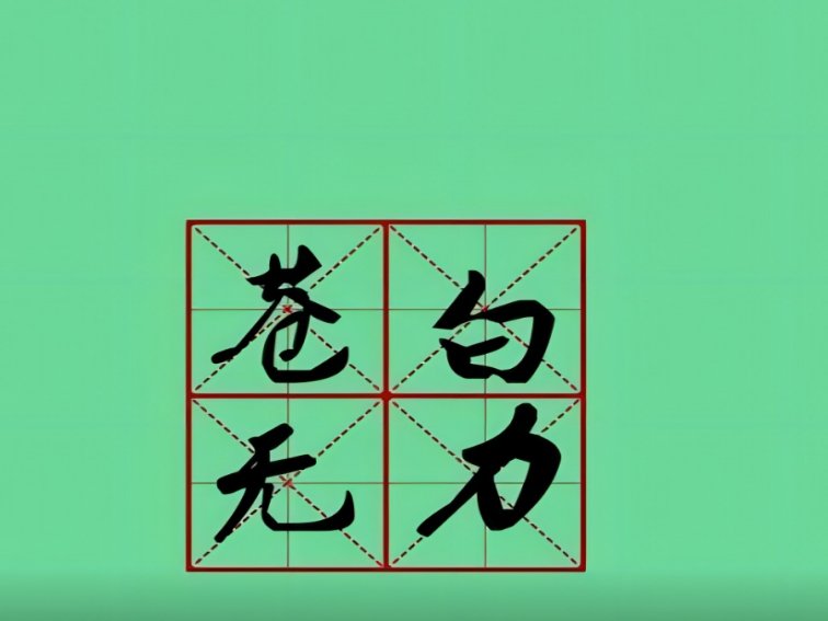 苍白无力什么意思