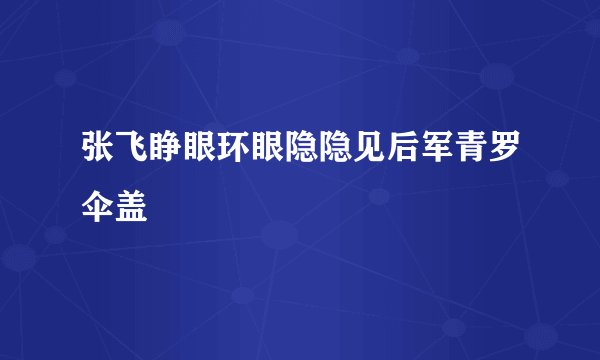 张飞睁眼环眼隐隐见后军青罗伞盖