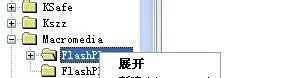Adobe Flash Player不是最新版本的解决方法