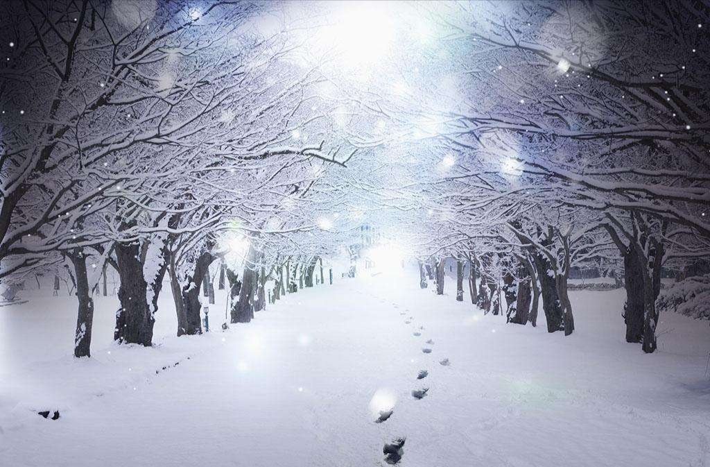 数九寒天下大雪 歌词