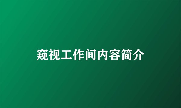 窥视工作间内容简介
