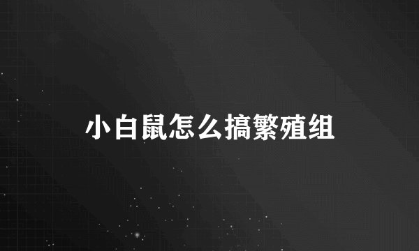 小白鼠怎么搞繁殖组
