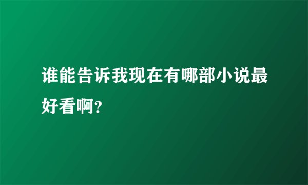 谁能告诉我现在有哪部小说最好看啊？