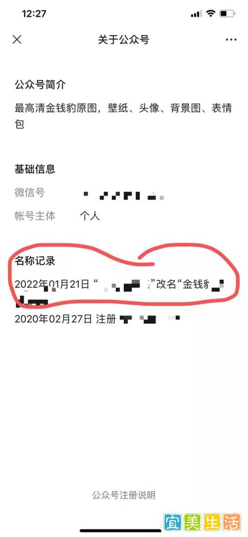 金钱豹发财项目