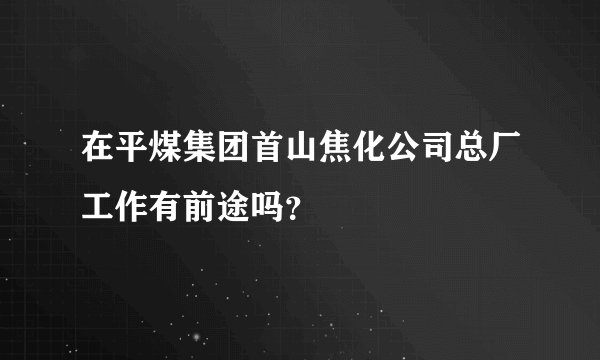 在平煤集团首山焦化公司总厂工作有前途吗？