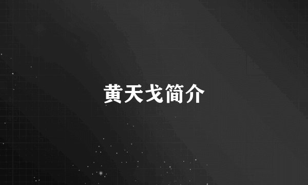 黄天戈简介
