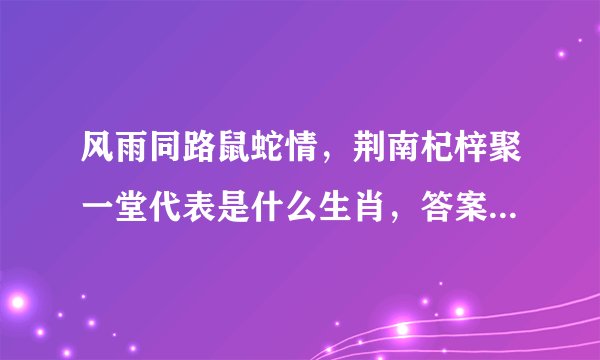风雨同路鼠蛇情，荆南杞梓聚一堂代表是什么生肖，答案已解落实