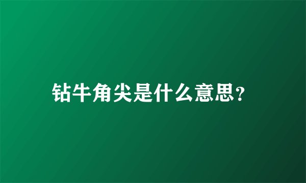 钻牛角尖是什么意思?