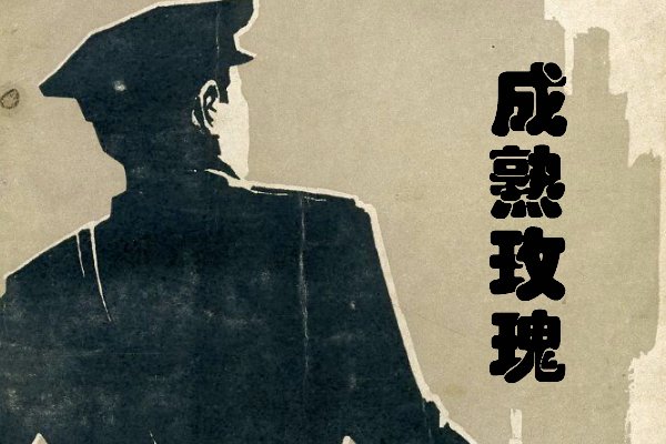陈伯彦江警官小说叫什么