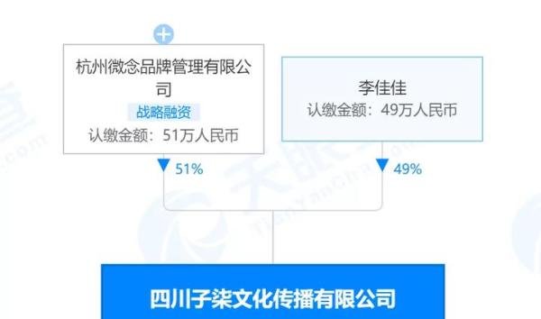 被资本打败了?李子柒断更两个月