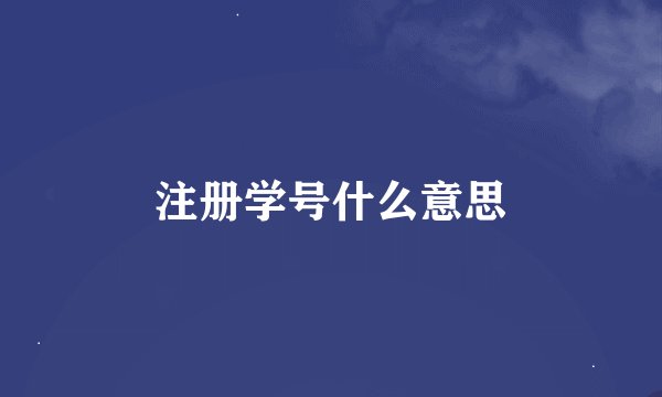 注册学号什么意思